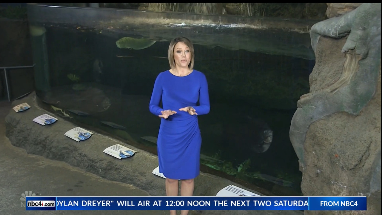 11.07 - 15.00.00 - Earth Odyssey With Dylan Dreyer. The world's smart....ts_snapshot_00.25.06.305