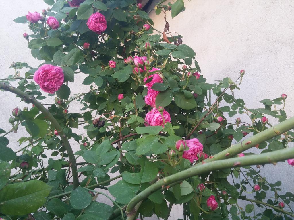 20190429_193059