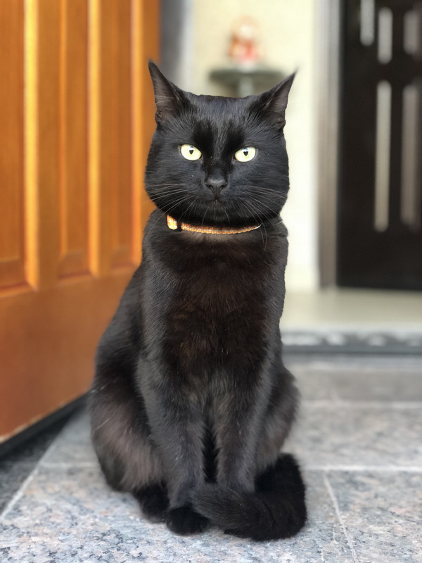 F4AEF4FF-DC53-4964-B4A3-21878E2C731E