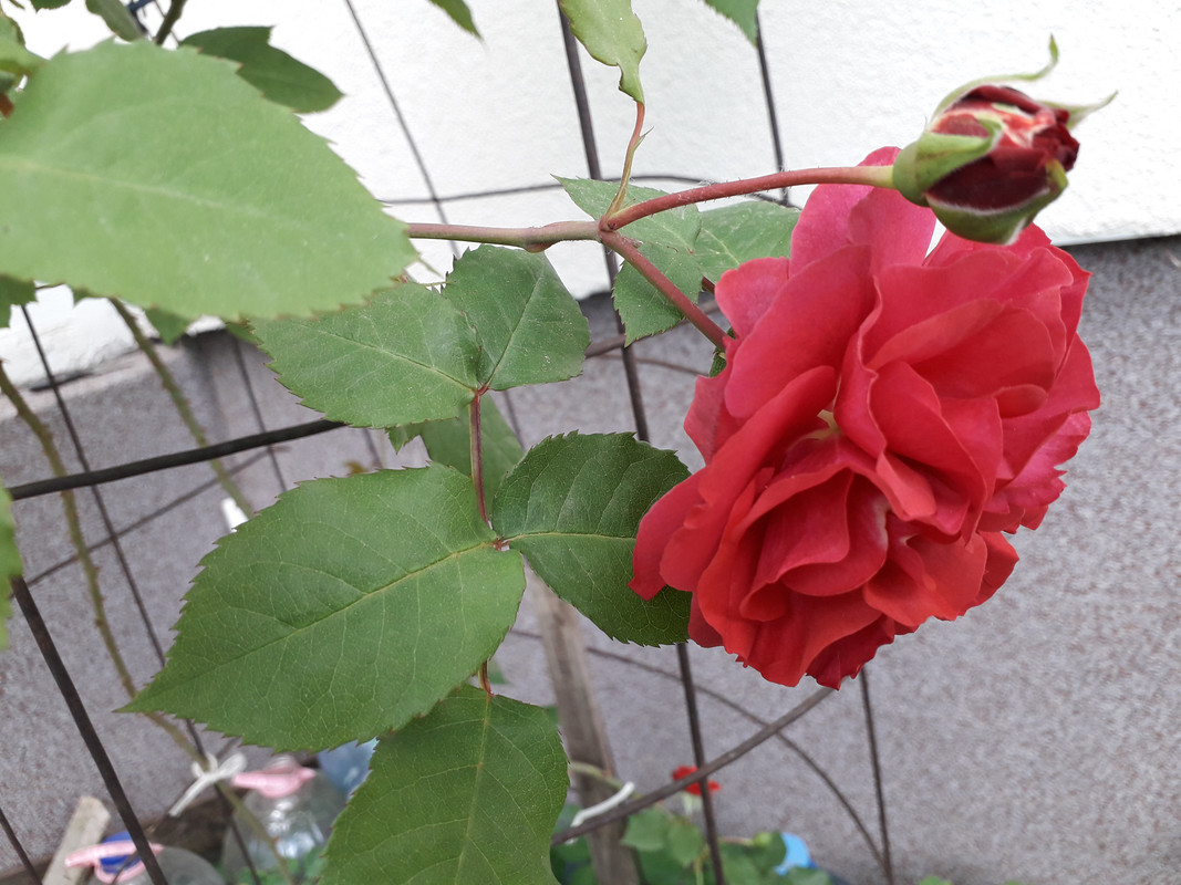 20190530_155027