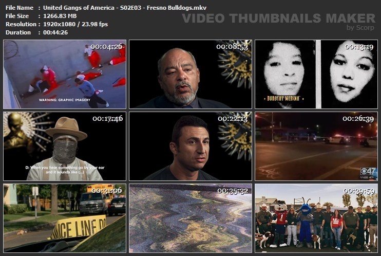 United Gangs of America S02E03 Fresno Bulldogs mkv