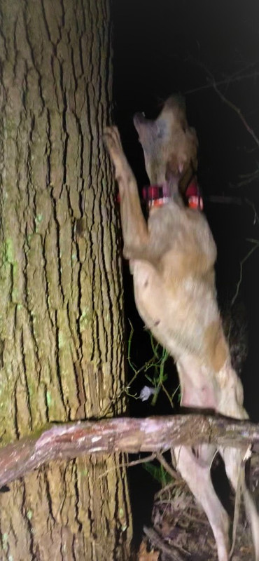 Resized_IMG_3686 (1)