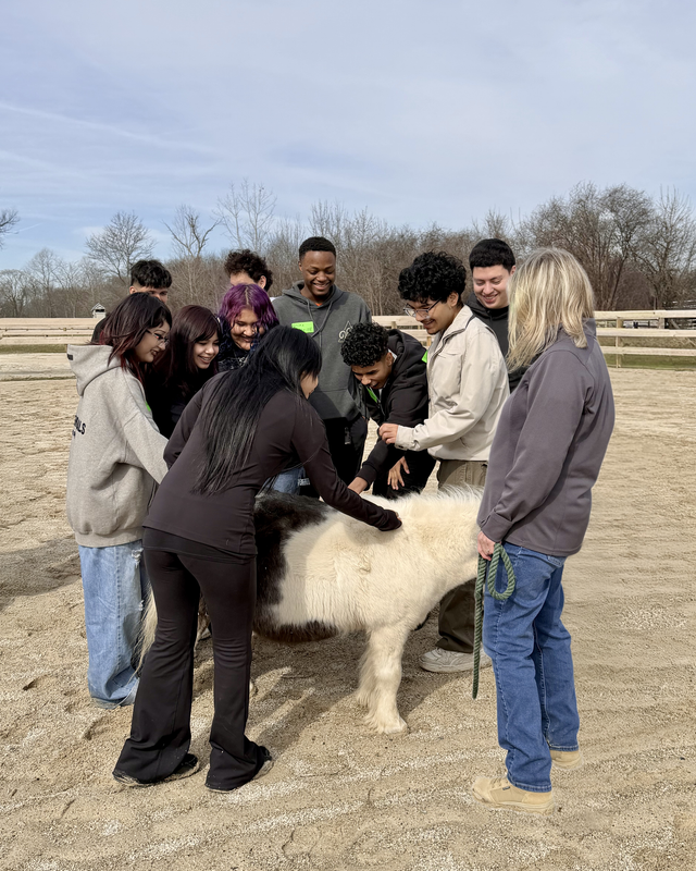 Equestrian Connection program photo
