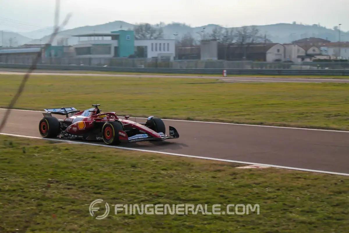 IMG-8488-F1.webp
