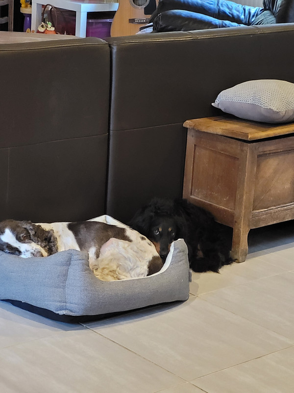 [Image: 20240711-070756.jpg]