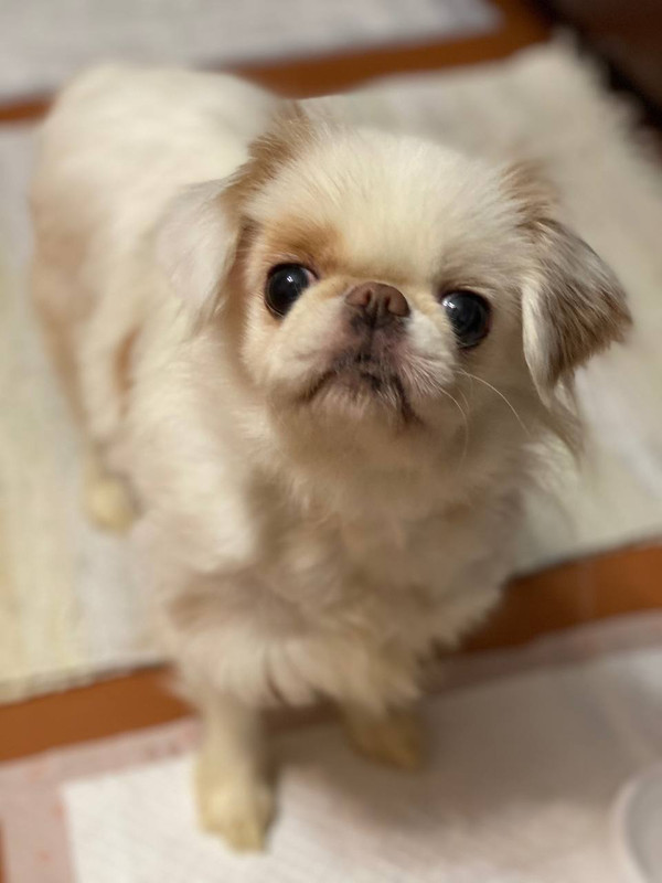 57F71581-340E-470E-889F-8AB3BEE16512