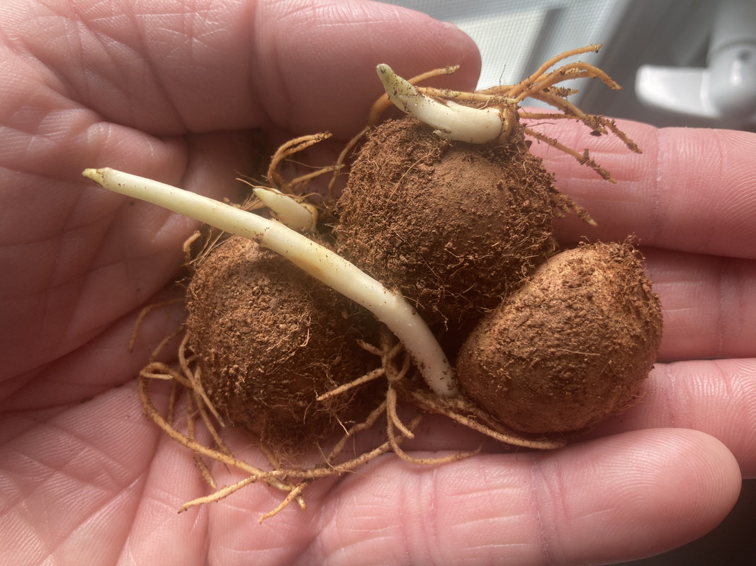 2383E7E5-5A7C-4B87-B2BD-6FFB6F24DAB5