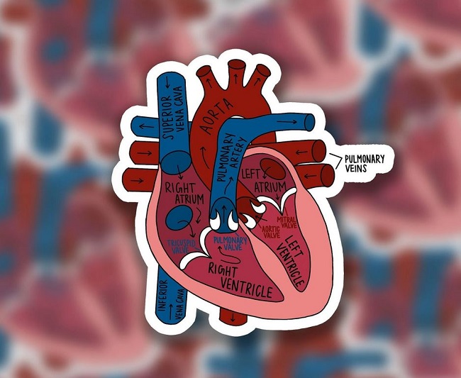 Personalized Vinyl Stickers for Medical Professionals: A Comprehensive List