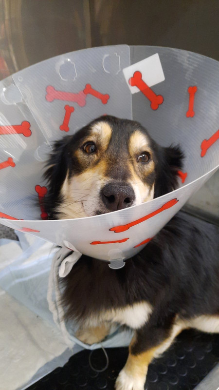 88134B31-243C-4075-933F-22DA50225B11