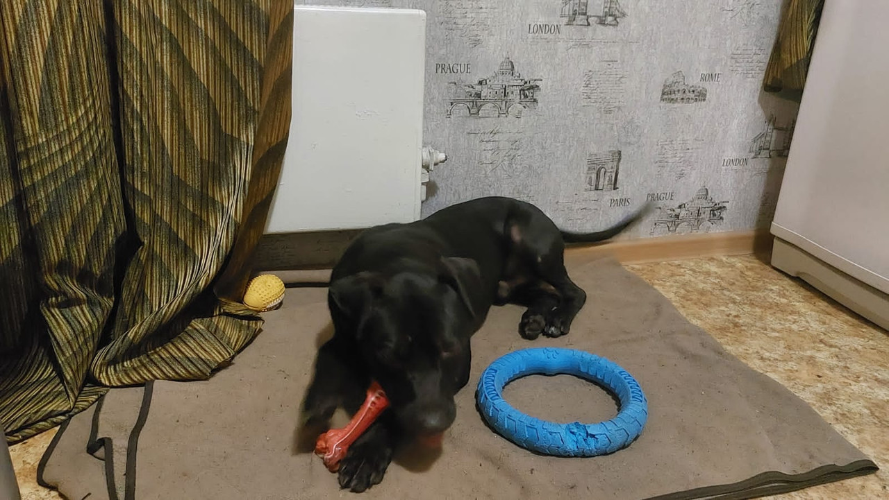 59D0D758-B2A4-4FA6-AA2C-0323C9F750A1