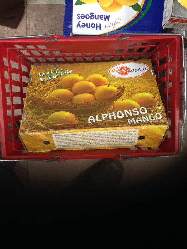 alpho1