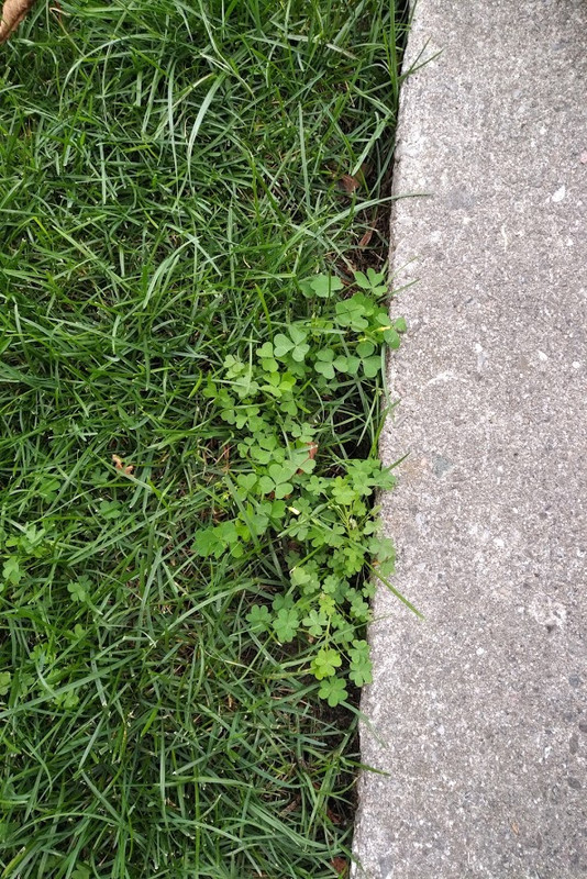 IMG_20180818_1648505