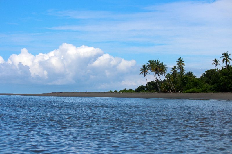 DIA 13: EXCURSIÓN DE UN DÍA A CORCOVADO - DE TORTUGAS Y PEREZOSOS. COSTA RICA 2019 (13)