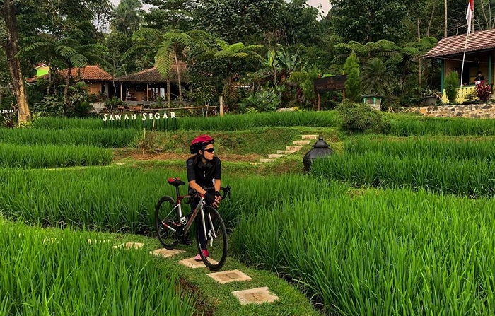 Liburan Ke Sentul Ini 4 Tempat Wisata Terbaru Yang Bisa Dikunjungi Halaman All Tribun Travel