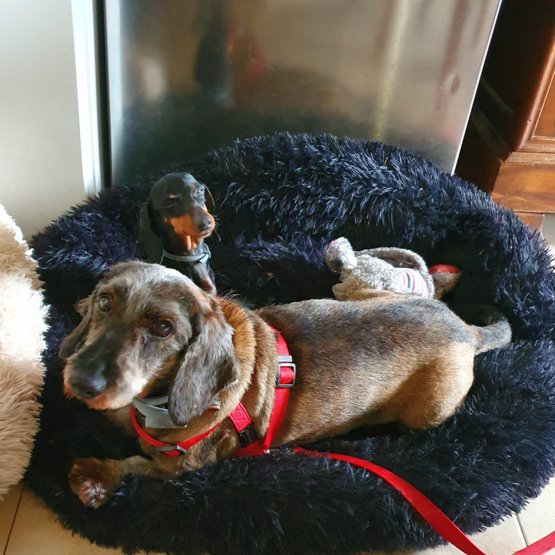 [Image: 20210619-111126.jpg]