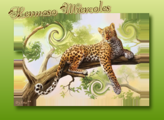 Leopardo Miercoles