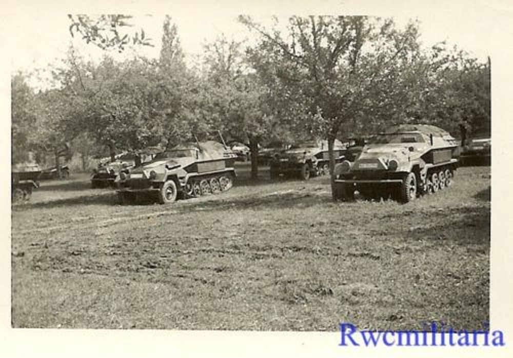 German SdKfz.251 Schützenpanzerwagen Halftracks 