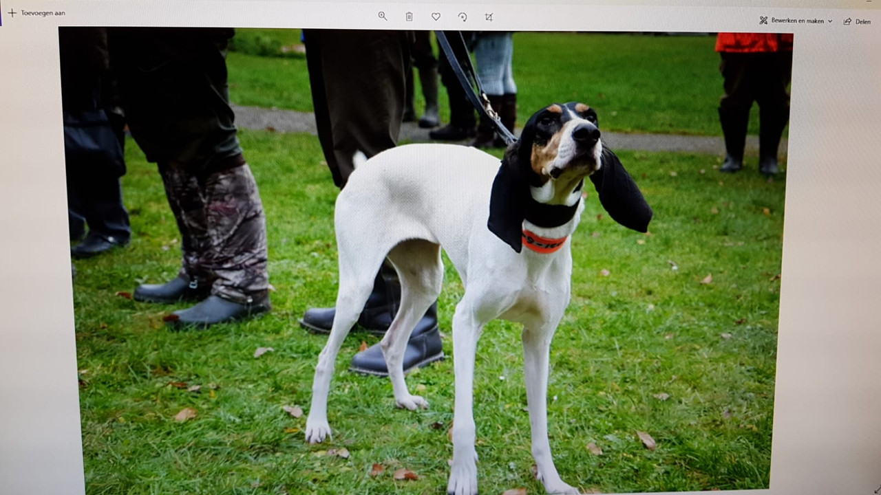 3876A4C2-13A2-404A-8E51-87BDD03CB241