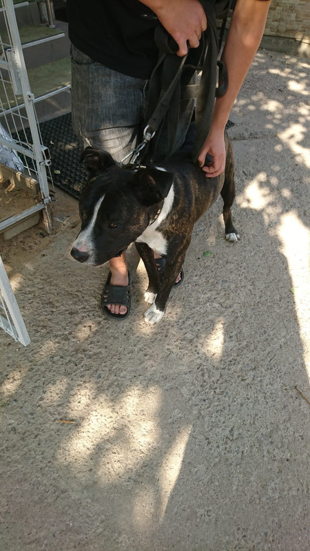 WhatsApp Image 2022-08-26 at 14.47.33 (1)