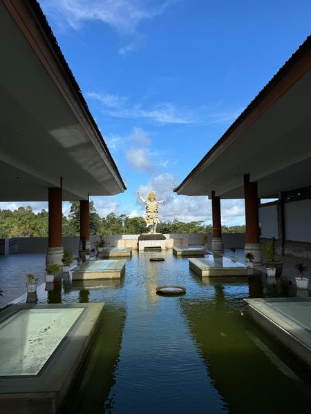 6 Aviones, 3 barcos y 2 trenes, empezando en Estambul y terminando Kuala Lump - Blogs de Indonesia - TERCERA PARADA: BALI (66)