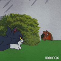 200w.gif