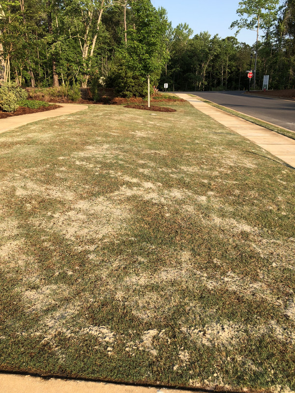 BE8D236C-8D34-4719-8BE9-FBE52437F6DC