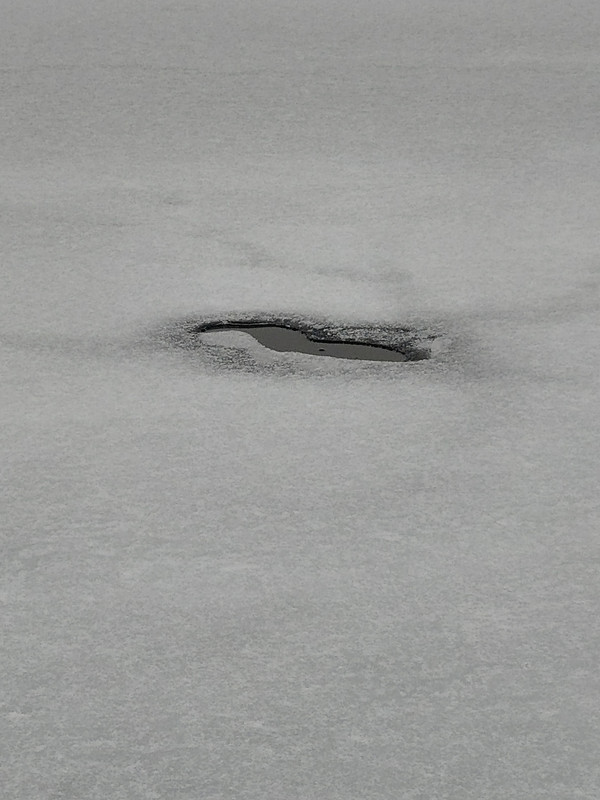 20200201_122257_HDR
