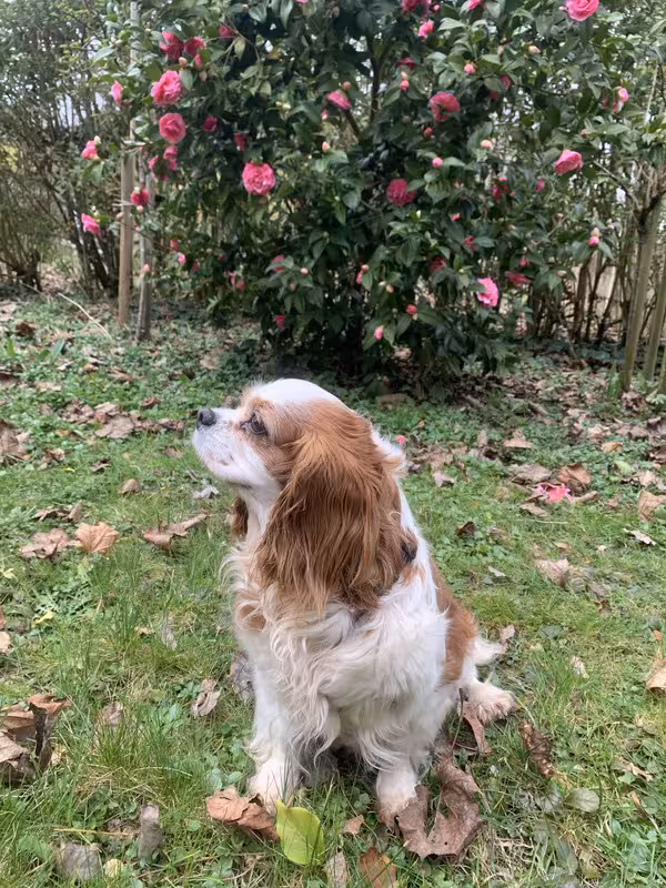 7A539BD1-2A0E-4649-8ED5-B3426144F574