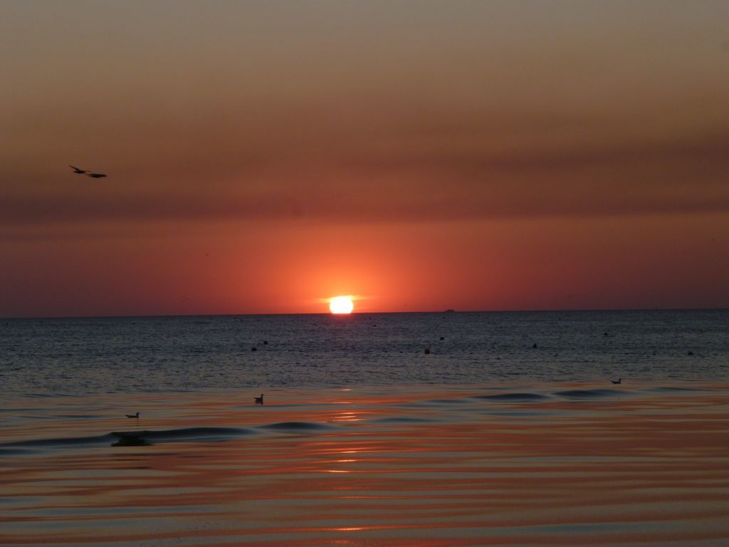 P1160337 [Разрешение рабочего стола]