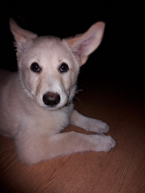 EEA70833-D4F5-472E-8221-78F8E4FB2ECE