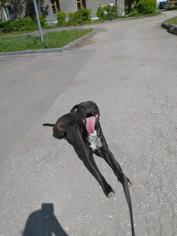 47A8891E-C315-4C5D-AE2C-803590E2CE8A