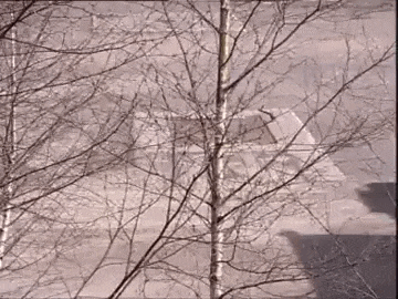 https://i.postimg.cc/YC3VjmCF/video-2026-06-15-03-11-44-(1)-(1).gif