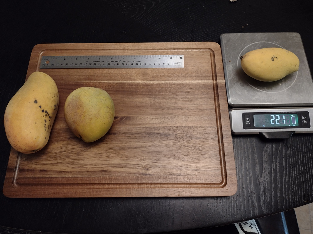 IMG_20210602_185627115_HDR