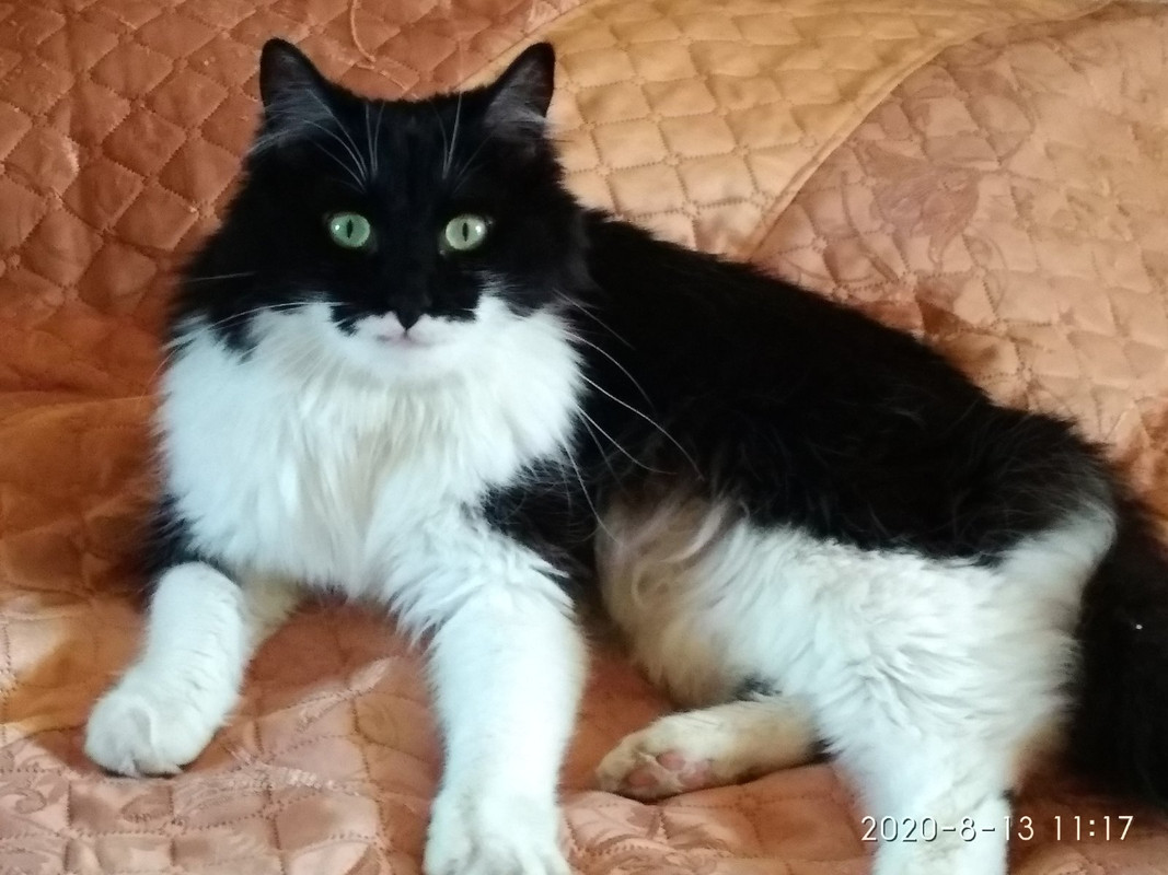 IMG-1d8bd7838cf18fd06e7fd7e5f244ec85-V