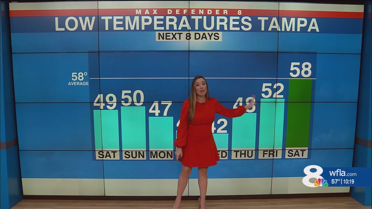 NewsChannel 8 News at 1000pm_20241130_03000330.ts_snapshot_20.14.272