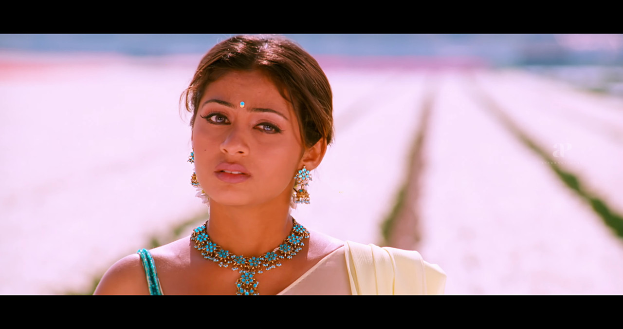 VideoCapture_20241122-195806