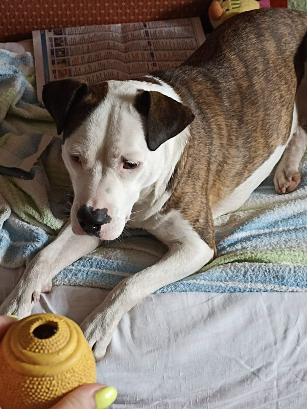 9FC71C61-C4FA-4D5B-BED0-DE159533DD76