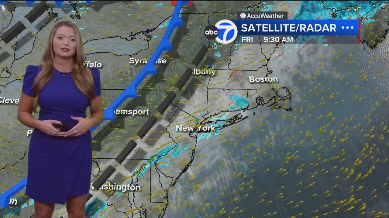 Eyewitness News Mornings at 10_20241101_14001500.ts_snapshot_18.10.623