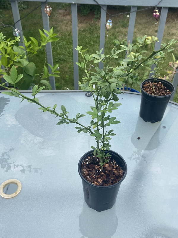 5DF3525F-C22C-49B1-AD38-26AFF610C5DE