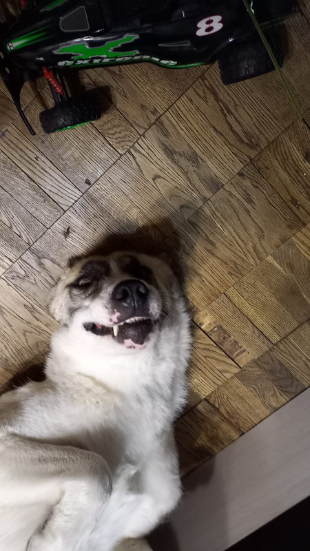 F76B5028-892A-45D1-9C11-426557C917FA