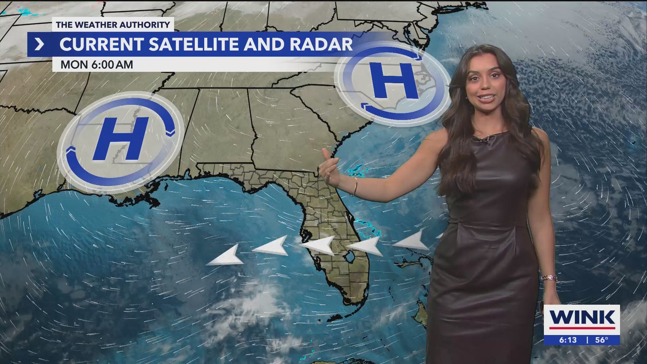 WINK News at 600am_20241223_11001130.ts_snapshot_14.20.150
