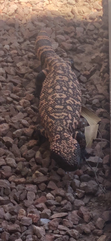 2B1778BE-C977-49AE-B374-1CB2BB61F25B