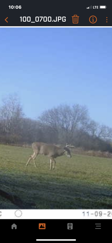 603E094B-3737-46C3-9769-811704E0A852