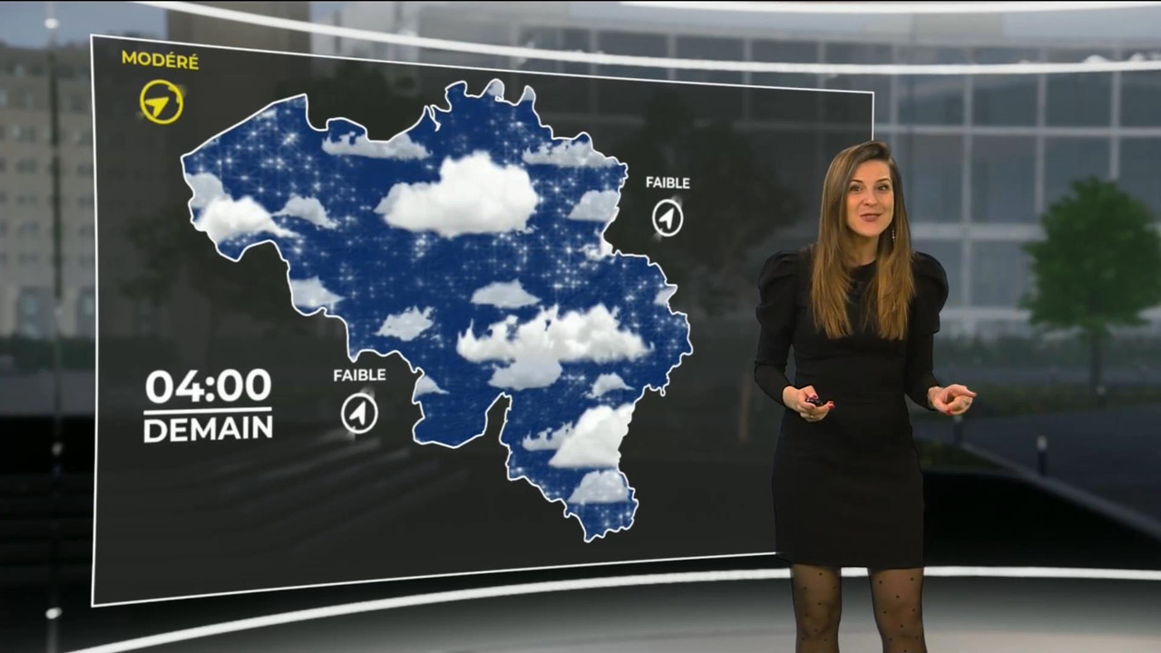 Daniela Prepeliuc 230321.mp4_snapshot_04.04_[2021.03.23_16.33.57]