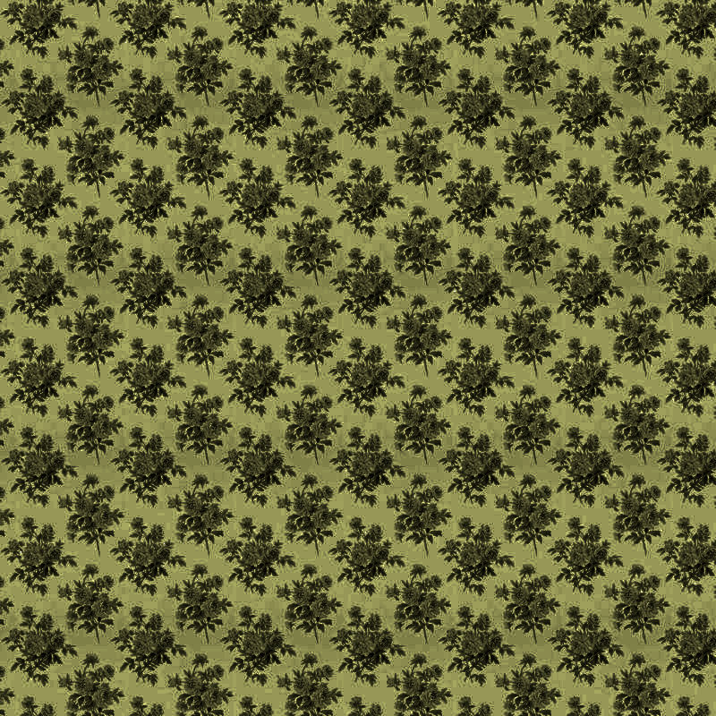 TADD_papiers_LastDanceInParis (6)