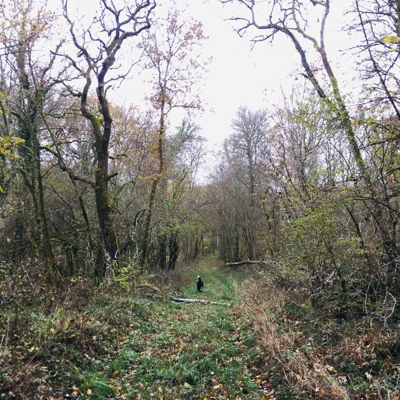 DF9E6253-C7A0-4E81-B927-60D9A38833FC