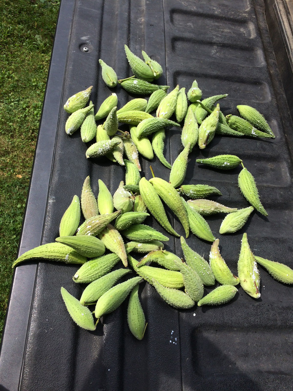 1AD7C398-3C5F-4BDB-8854-6F01DE1C7C79