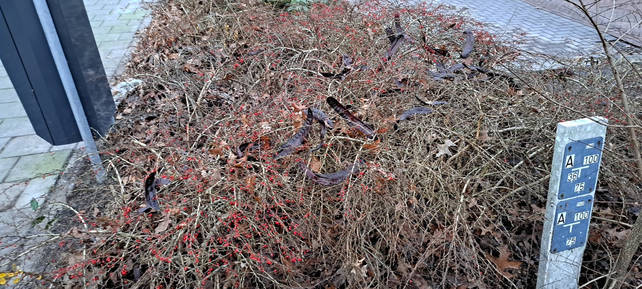 [Image: 20231214-155922.jpg]