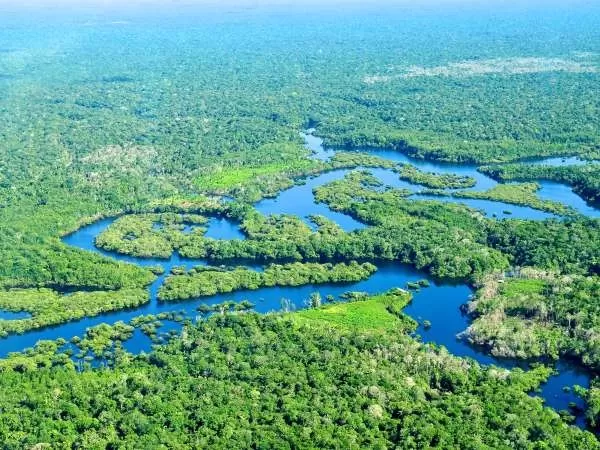 [صورة: amazon-river-facts-10462-9-1706258836.webp]