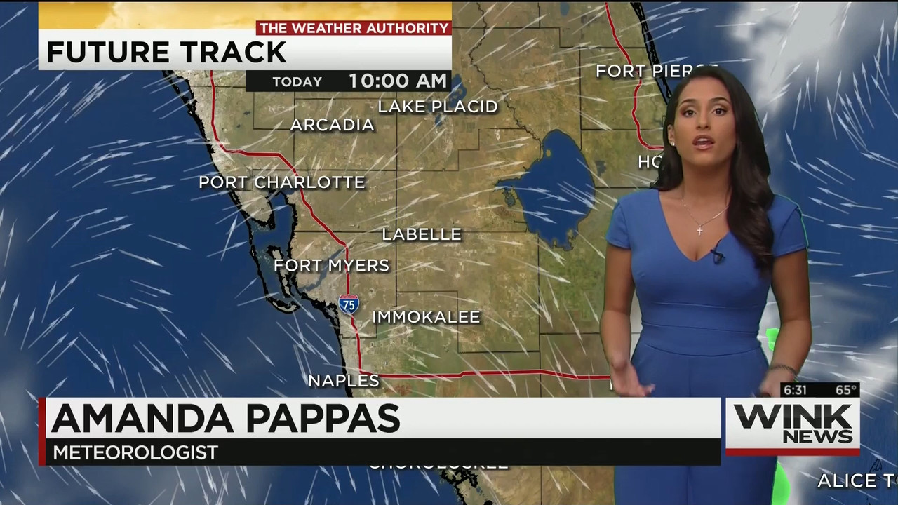 11.28 - 11.00.00 - WINK News This Morning..ts_snapshot_32.09.813
